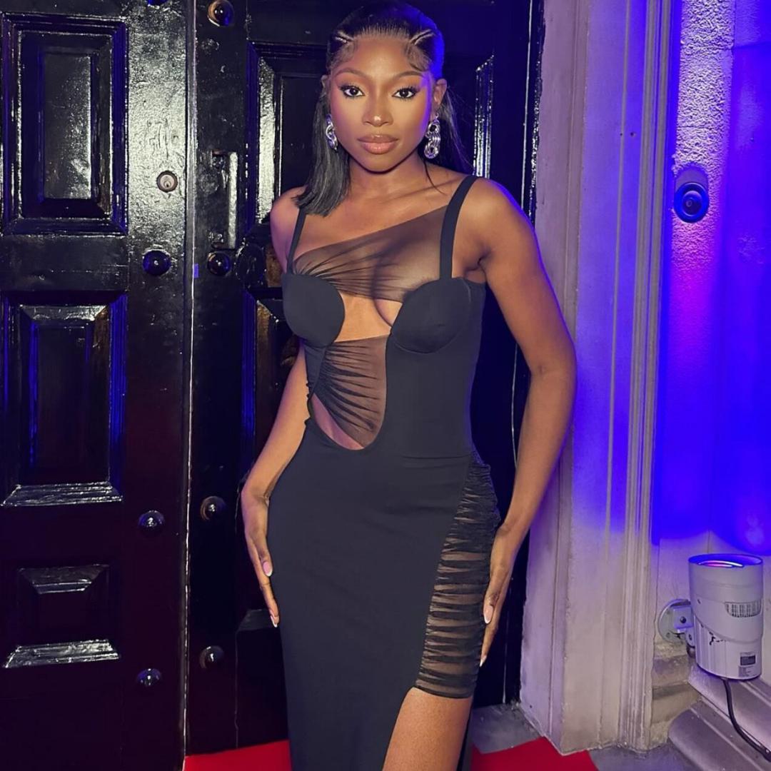 Mesh Maven Dress