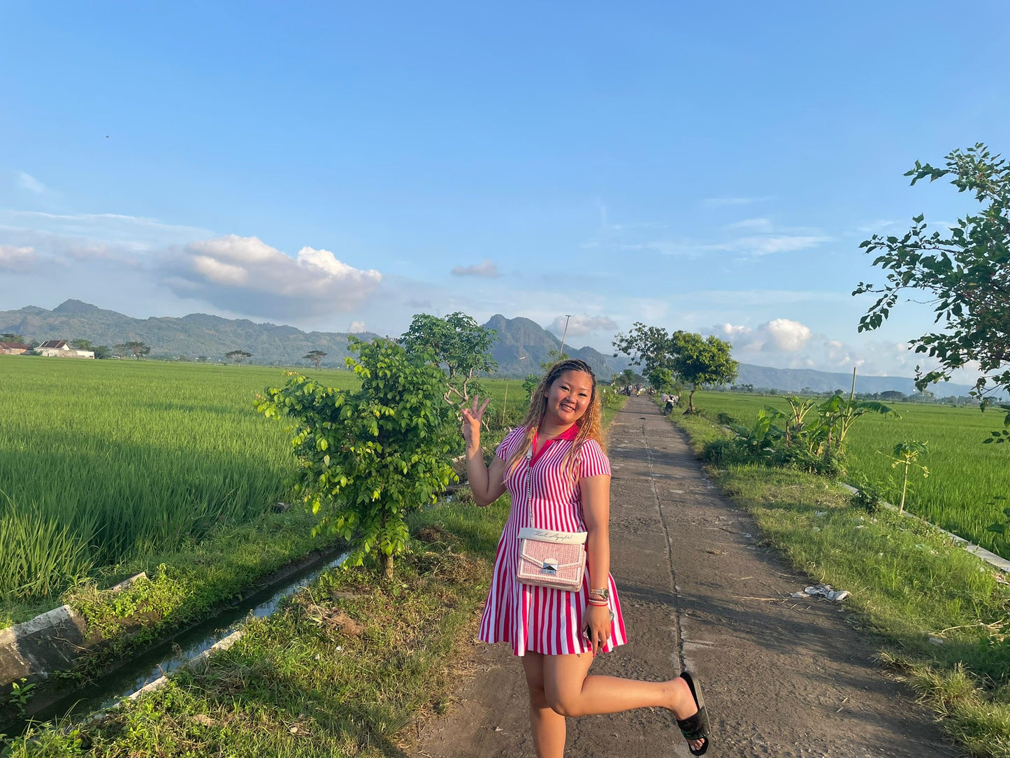 Stripe down dress